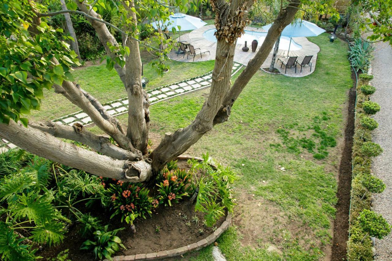 Oakdene Guest House Oudtshoorn Zewnętrze zdjęcie